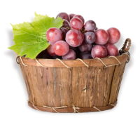 grapes_basket grapes_basket